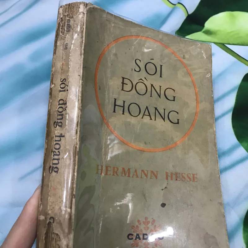 Sói Đồng Hoang - Hermann Hesse 591265