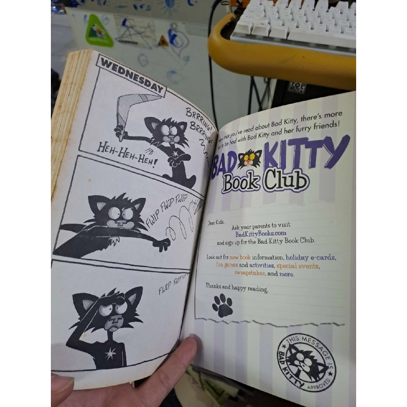 Bad kitty camp daze mới 80% ố ENGLISH BOOKS HCM1809 924288