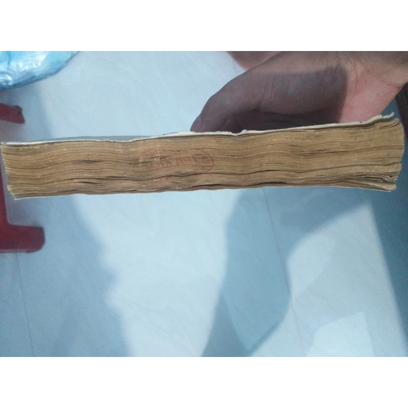 Mỹ học khoa học diệu kì 548719