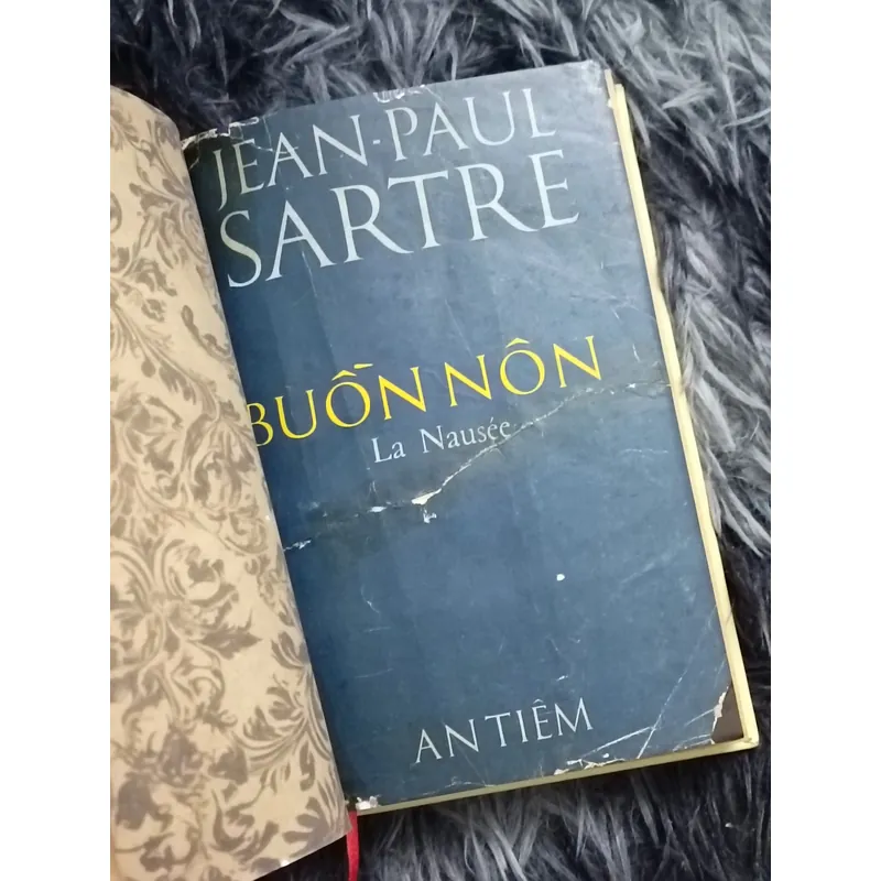 Buồn nôn (Jean Paul Sartre) 594461