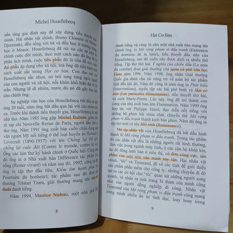 Tiểu Thuyết Hạt Cơ Bản - Michel Houellebecq 726807