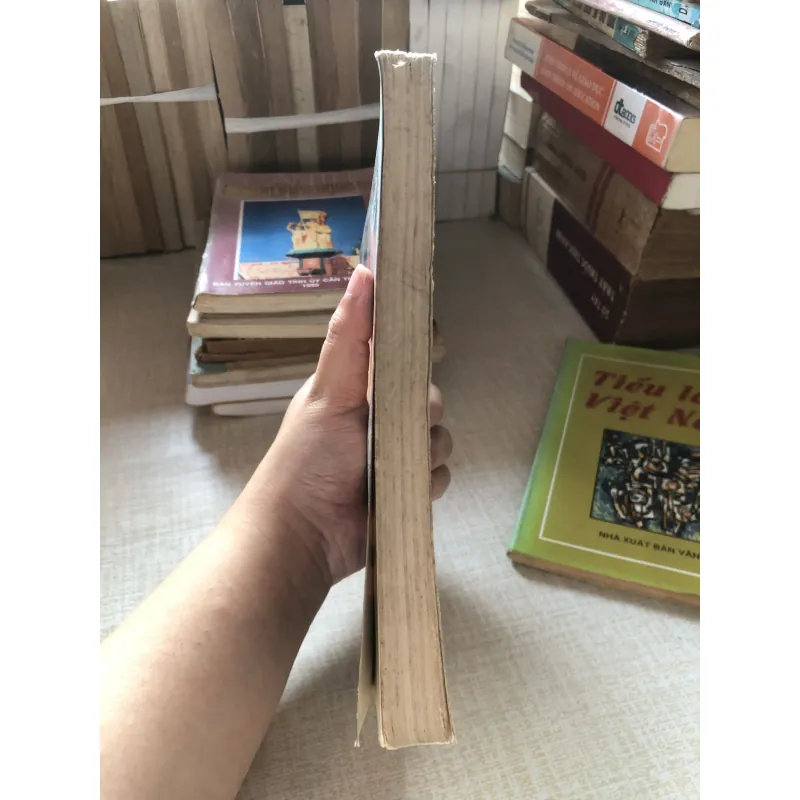 Những danh tướng vang bóng một thời-Tô Thị Khang 961368