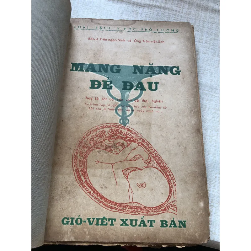 Mang nặng đẻ đau-BS Trần Ngọc Ninh, Ông Trần Việt Sơn 971198