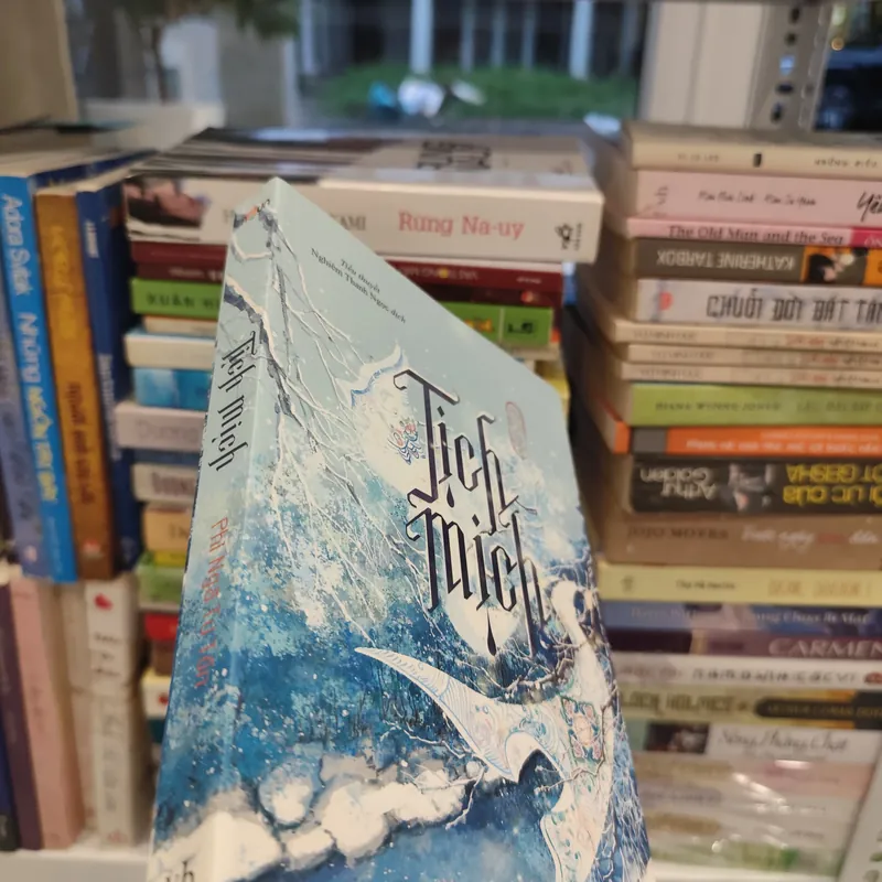 Tịch Mịch ( Tiểu thuyết)  563486