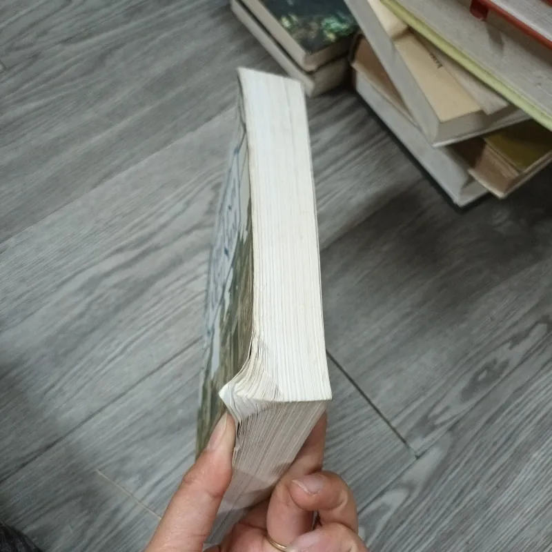 Tâm Linh Việt Nam - PGS. Nguyễn Duy Hinh 782337