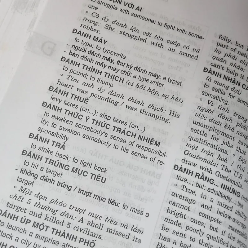 Từ điển dụng ngữ Việt - Anh 786999