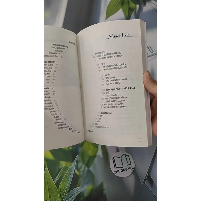 Làm Chủ Cuộc Đời - Khangser Rinpoche 961215