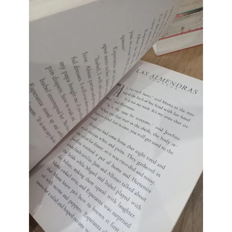 Esperanza Rising - Pam Munoz Ryan 704137