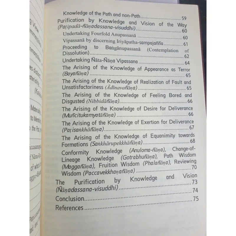 Bước đột phá trong thiền Samatha và thiền Vipassana - sách tiếng Anh 958238