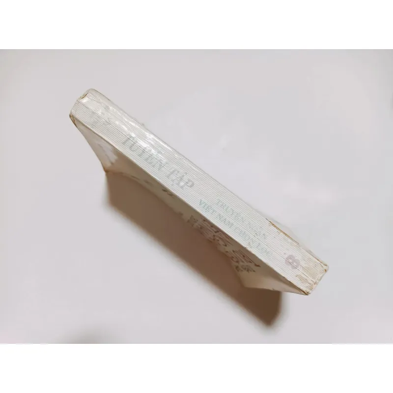 Tuyển Tập Truyện Ngắn Việt Nam Chọn Lọc Tập 8 755217