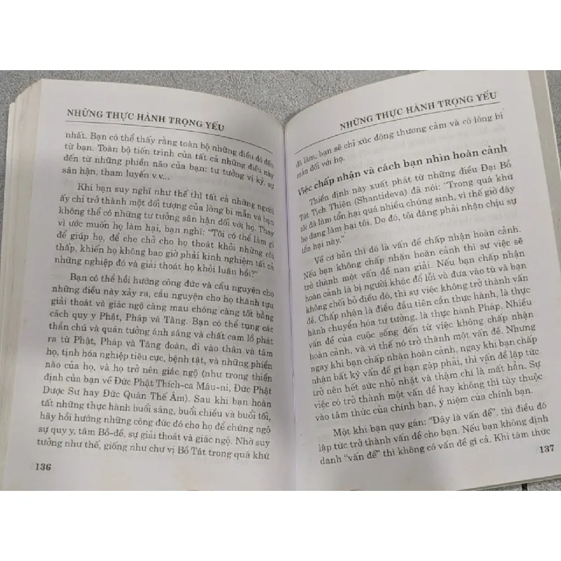 Những thực hành trọng yếu - Thanh Liên 704290