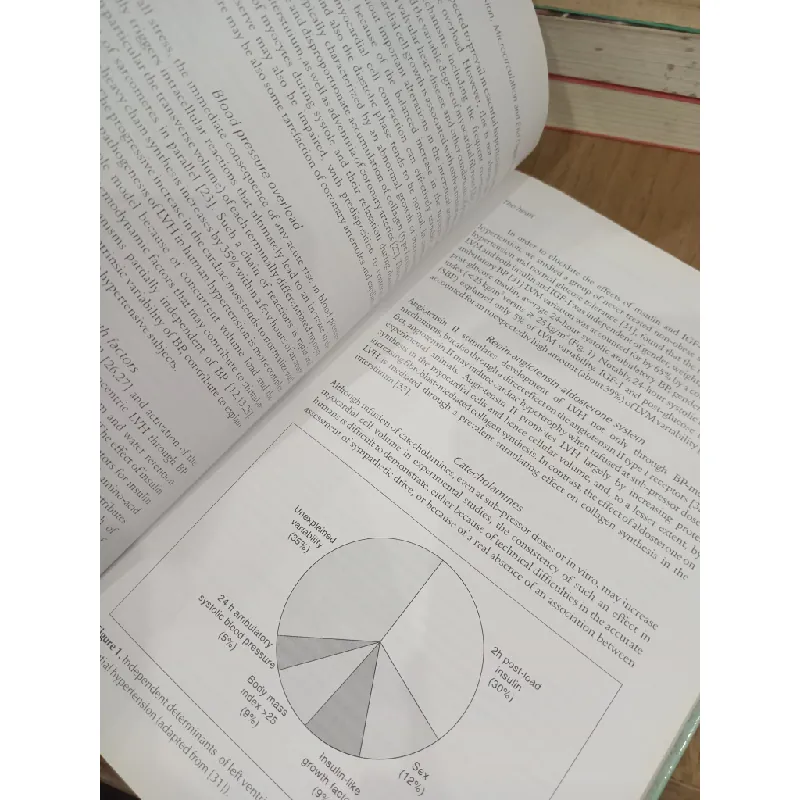 Hypertension, microcirculation and end organ damage - Norman Kaplan 702528