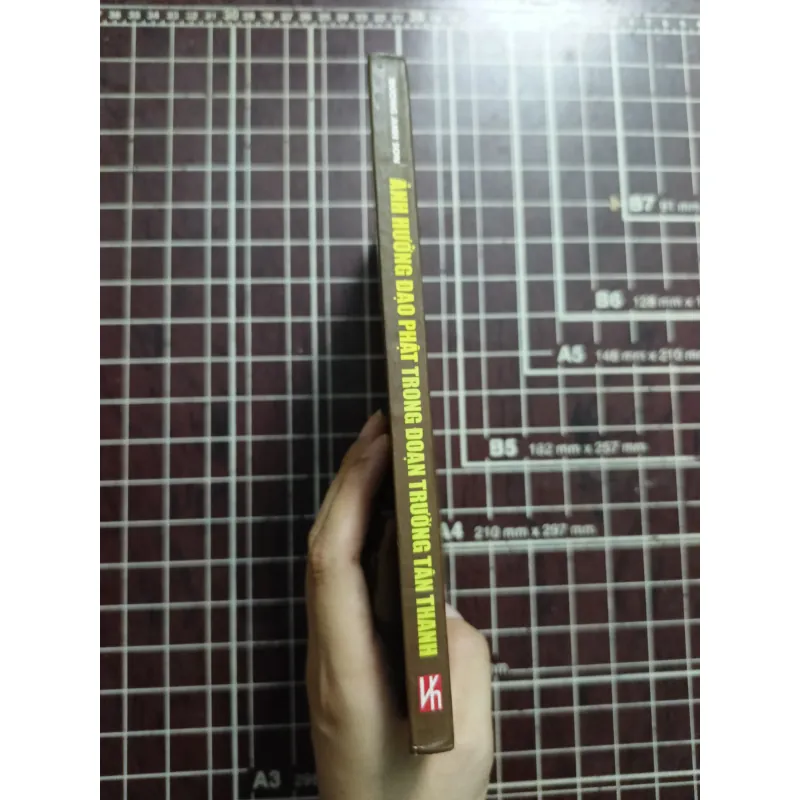 Ảnh hưởng đạo Phật trong đoạn trường Tân Thanh - Dương Anh Sơn 731139