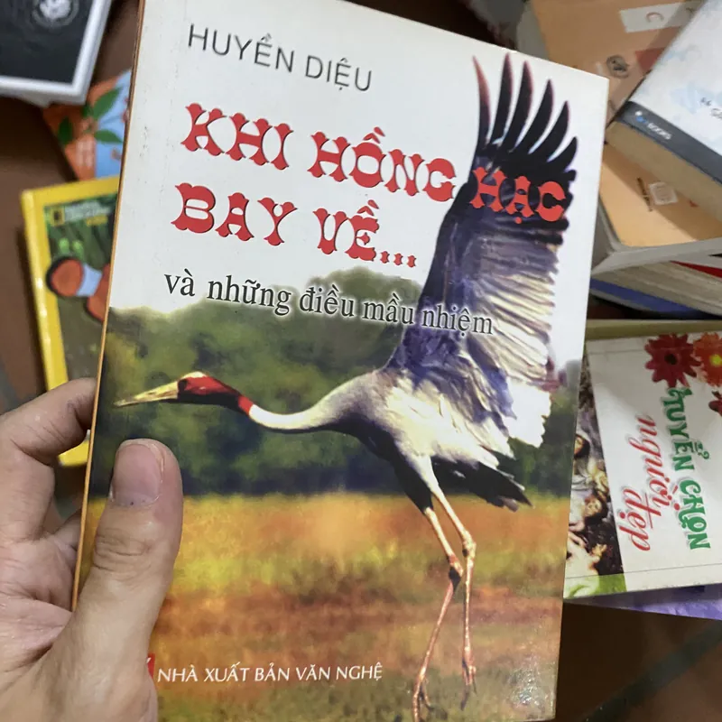 Sách khi Hồng hạc bay về 310207