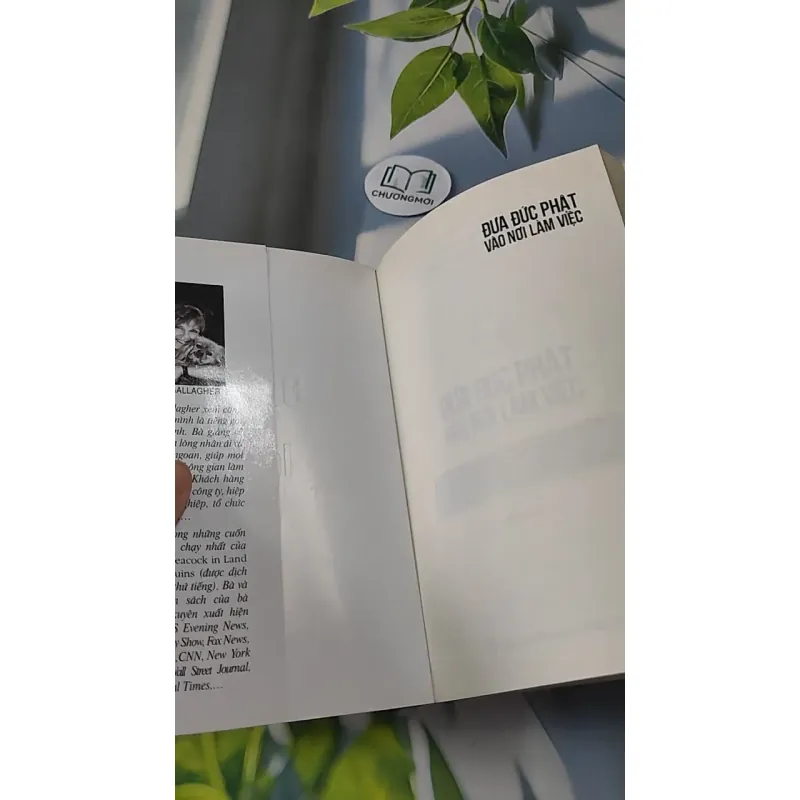 Đưa Đức Phật Vào Nơi Làm Việc - Franz Metcalf & B.J. Gallagher 727221