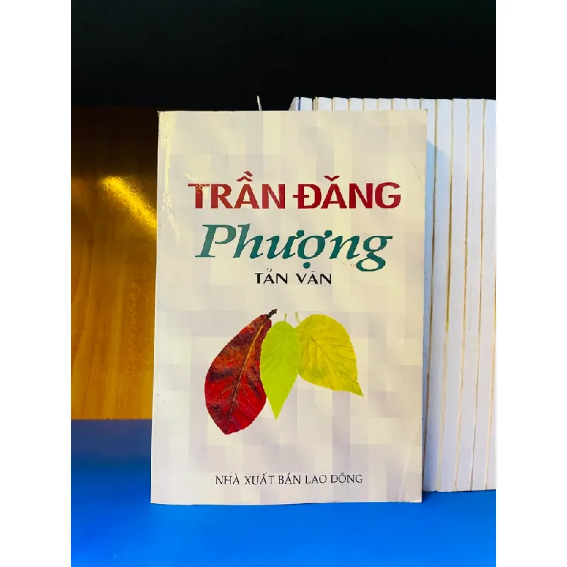 Phượng - Trần Đăng 556043
