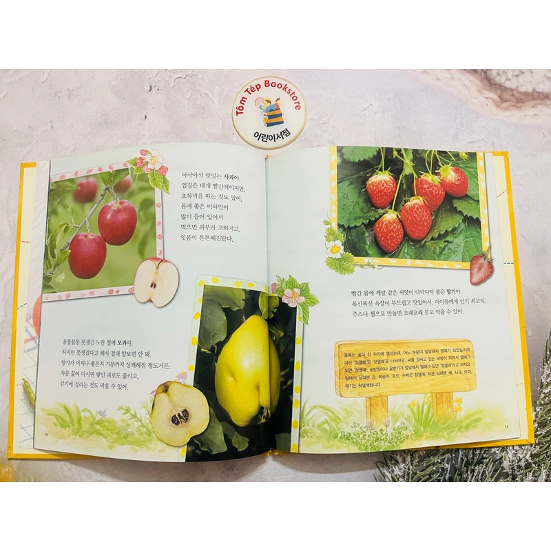 𝐒𝐞́𝐭 𝐬𝐚́𝐜𝐡 𝐪𝐮𝐚𝐧 𝐬𝐚́𝐭 𝐭𝐮̛̣ 𝐧𝐡𝐢𝐞̂𝐧 tiếng Hàn  푸른달 자연관찰(trọn bộ) 496923