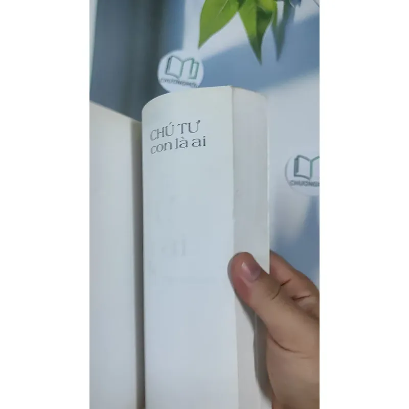 Chú Tư Con Là Ai - Thăng Sắc 798465