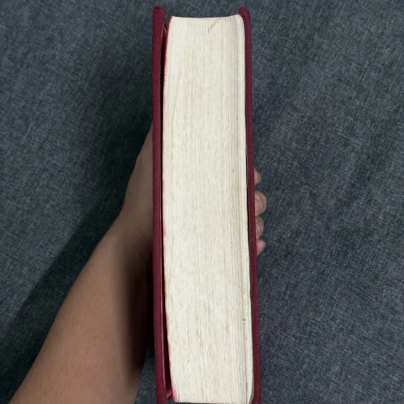 Gã khờ - Fyodor Dostoevsky 785504