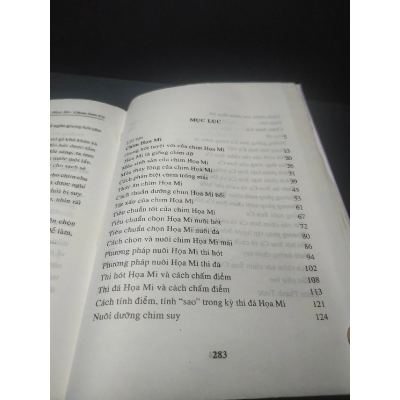 Họa mi - Sơn Ca 1999 - Việt Chương (ố nhẹ) new 90% HCM.TN2707 911639