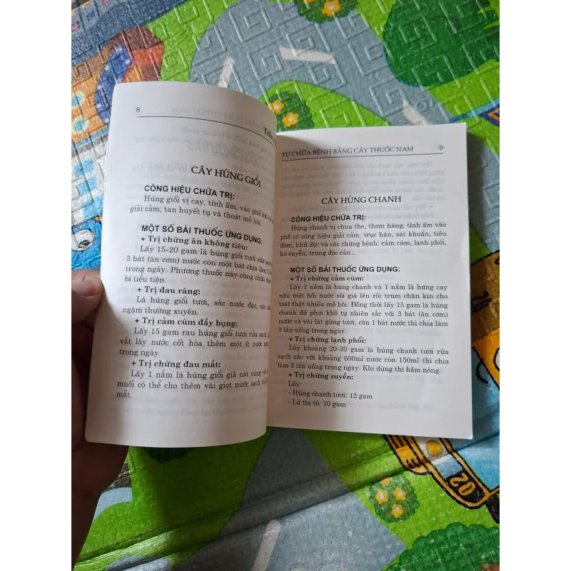 Tự Chữa Bệnh Bằng Cây Thuốc Nam 1021314