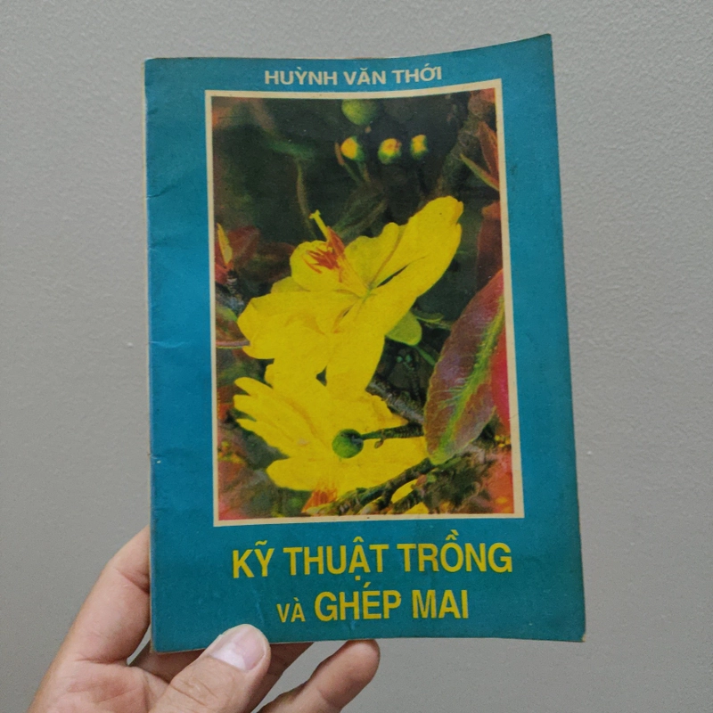 Kỹ Thuật Trồng Và Ghép Mai 477380