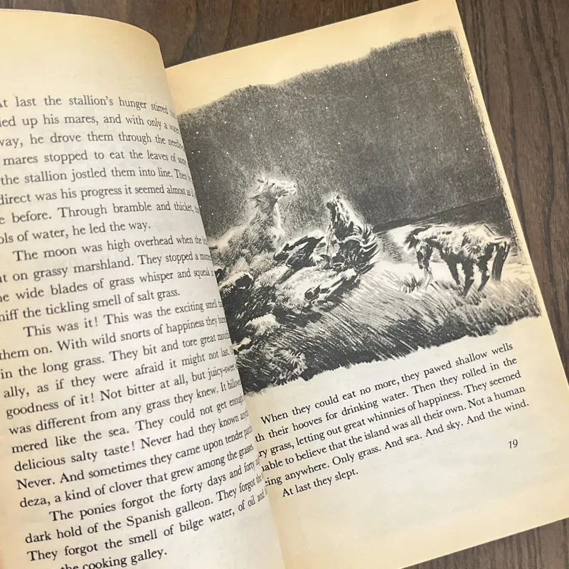 ✨𝑴𝒊𝒔𝒕𝒚 𝒐𝒇 𝑪𝒉𝒊𝒏𝒄𝒐𝒕𝒆𝒂𝒈𝒖𝒆✨ (Newbery Honor Book) 709264