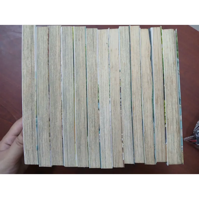 YOTSUBA (TẬP 1 - TẬP 13) - KIYOHIKO AZUMA 1020198