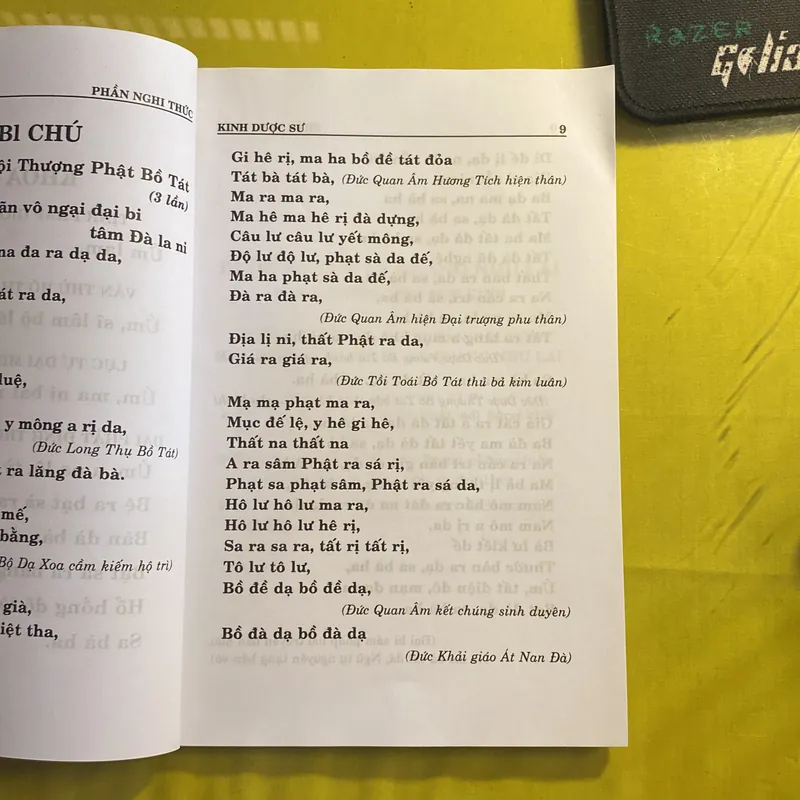 Kinh Dược Sư- Dịch Giả: Bồ Tát Giới Tuệ Nhuận 688421
