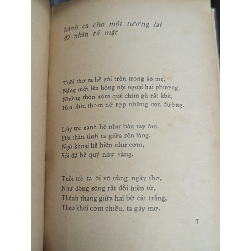 Rừng dậy men mùa - Đông Trình 593638
