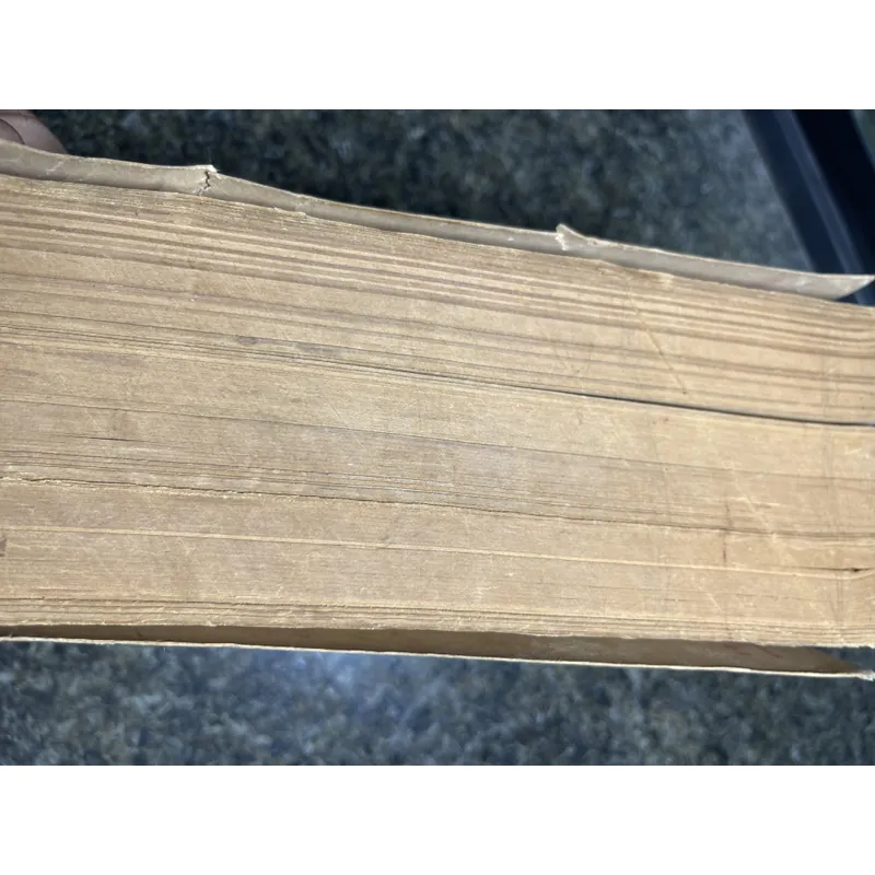 Việt Nam Tân tự điển Thanh Nghị minh hoạ 705923