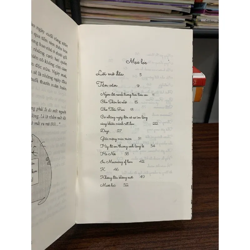 Tình yêu là không ai muốn bỏ đi – Phan Ý Yên 574905