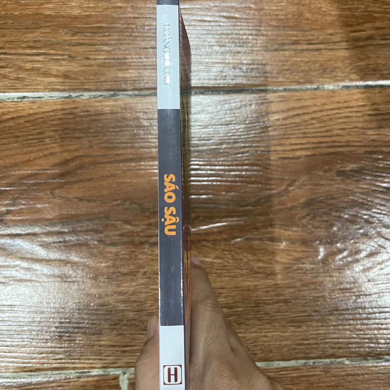 Sáo Sậu - Hoàng Hương 570214