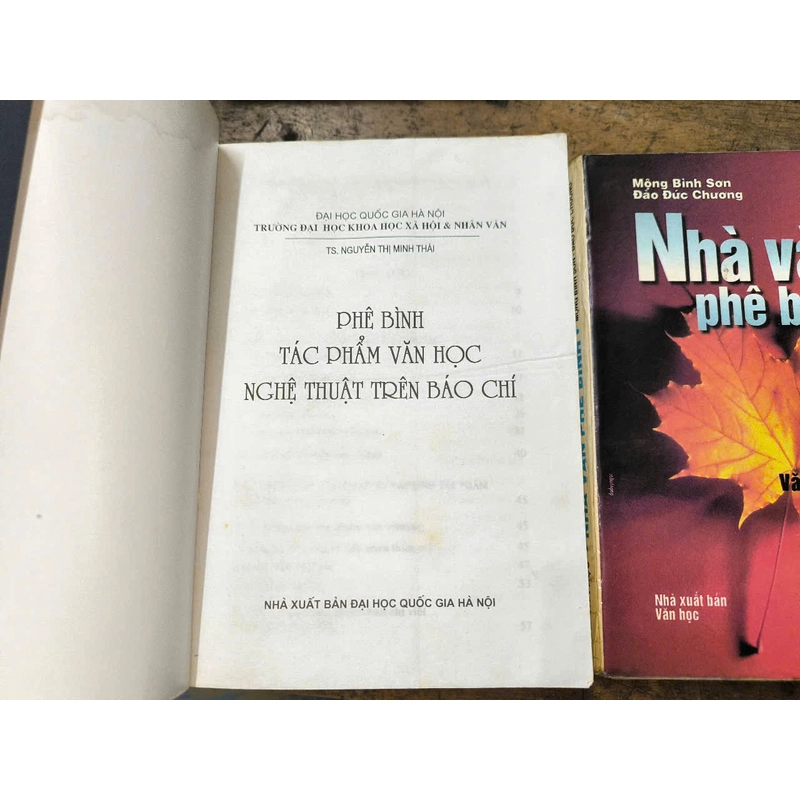 Nhà văn phê bình - Mộng Bình Sơn, Đào Đức Chương + Phê bình tác phẩm...báo chí (Minh Thái) 367099