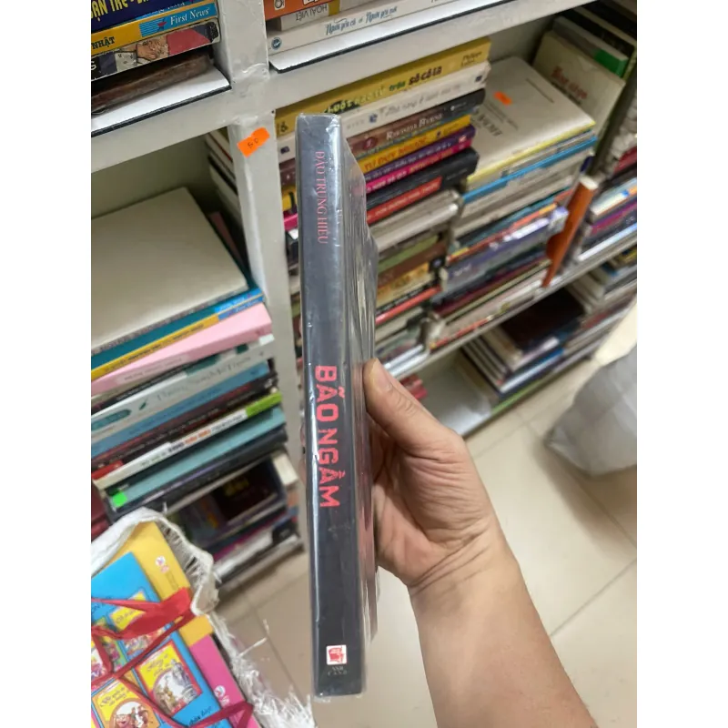 Bão Ngầm, Đào Trung Hiếu, Mới 80% (ố nhẹ) (DMChien) 733156