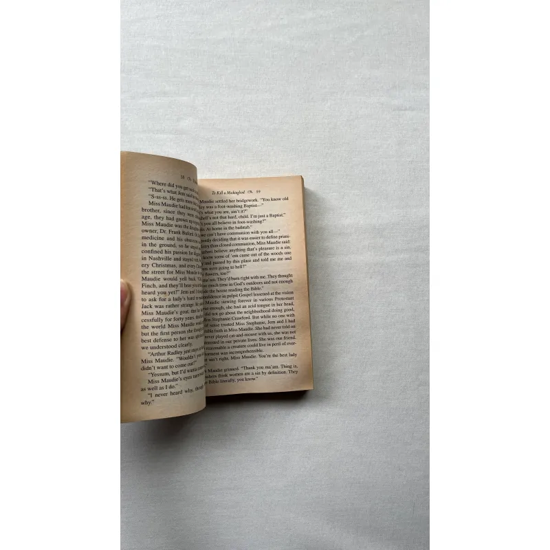 To Kill a Mockingbird - Harper Lee  991977