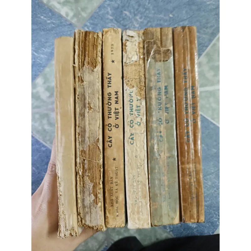 Cây cỏ thường thấy ở Việt Nam ( 6 tập) 791648