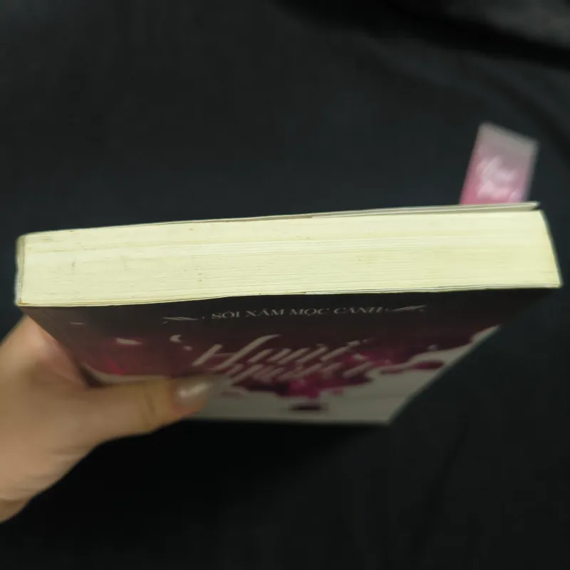 Hoài niệm (Tập 1) - Sói Xám Mọc Cánh  929733