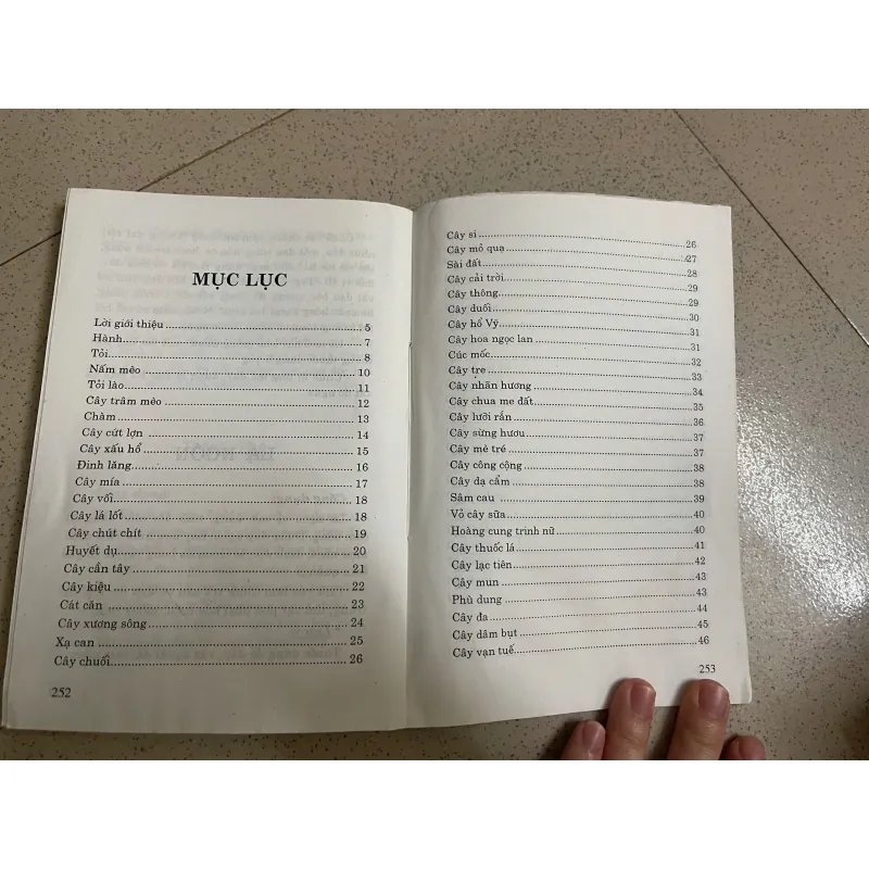 Chữa bệnh bằng cây lá quanh nhà 1022330