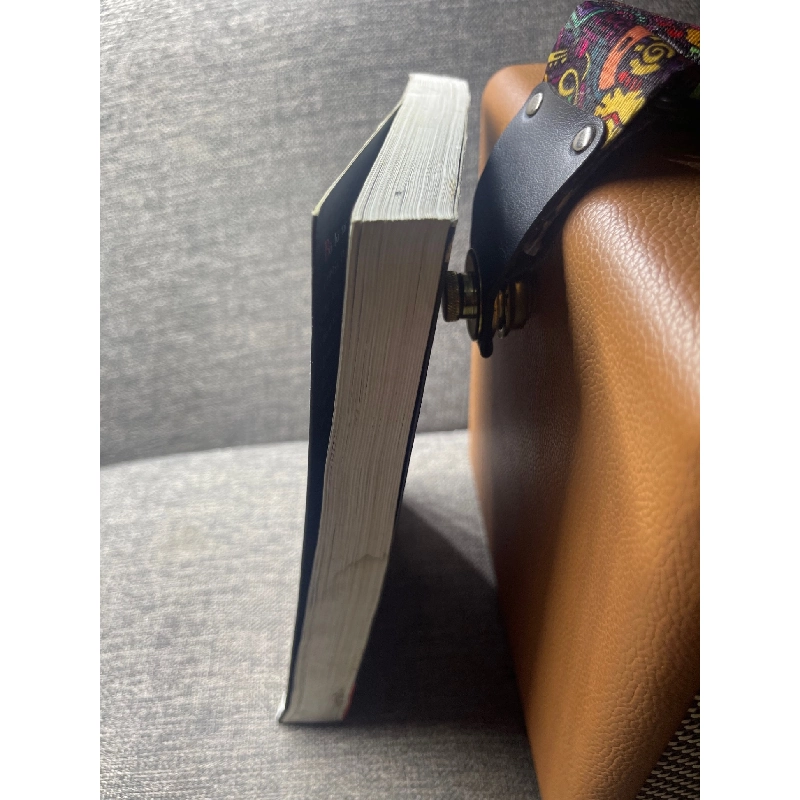 Đứa trẻ lạc loài Dave Pelzer 2009 mới 80% bẩn cong ẩm nhẹ HPB1305 914282