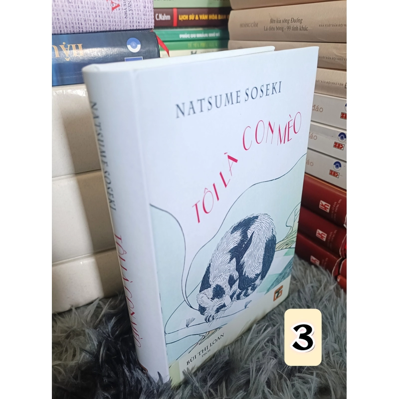 Tôi là con mèo (Natsume Soseki) 523490