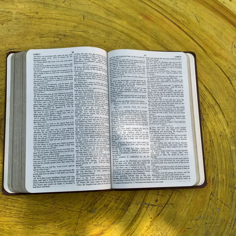  NEW AMERICAN STANDARD BIBLE - UPDATED EDITION  797305