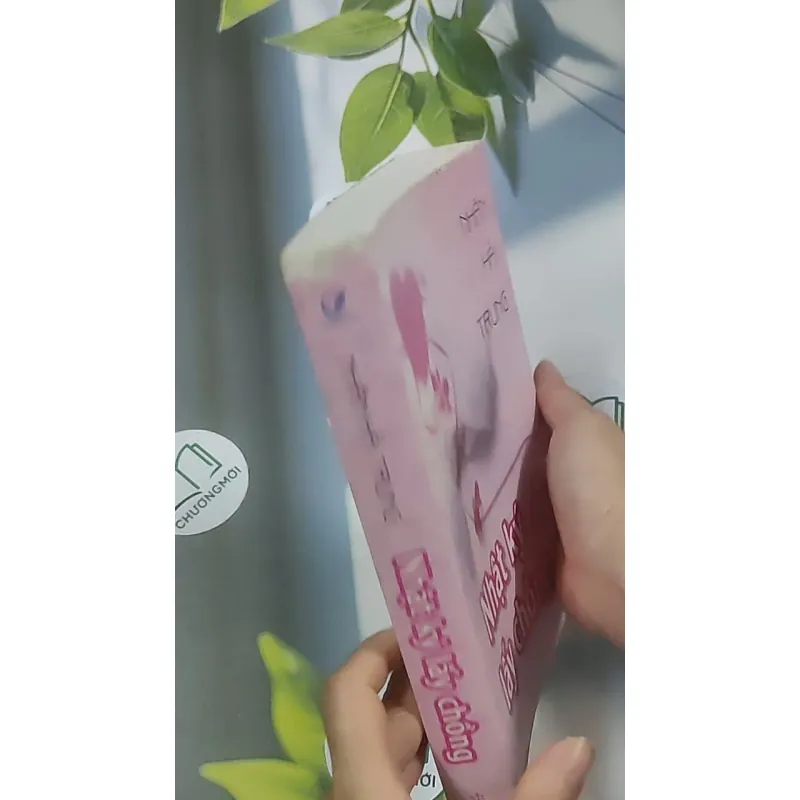 Nhật ký lấy chồng - Nhân Hải Trung 688623