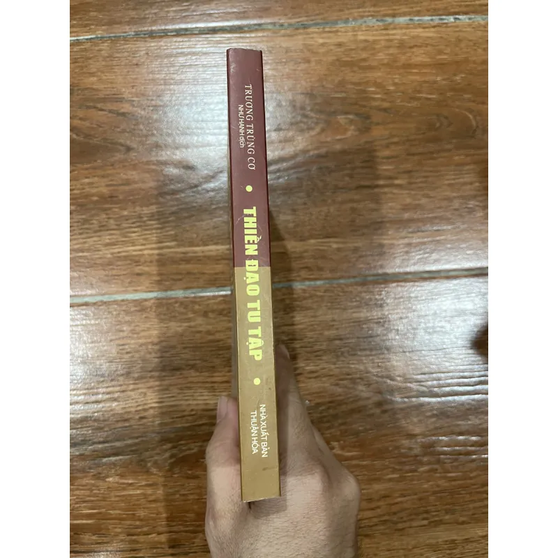 Thiền dạo tu tập - Trương Trùng Cơ (6) 714619