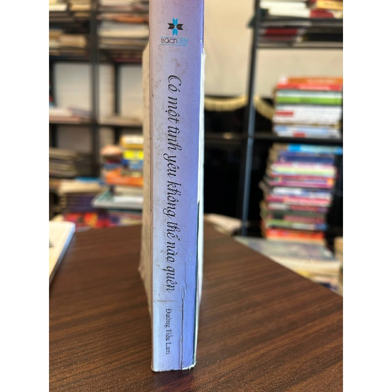 Có Một Tình Yêu Không Thể Nào Quên - Đường Tiểu Lam - Đường Tiểu Lam 958541