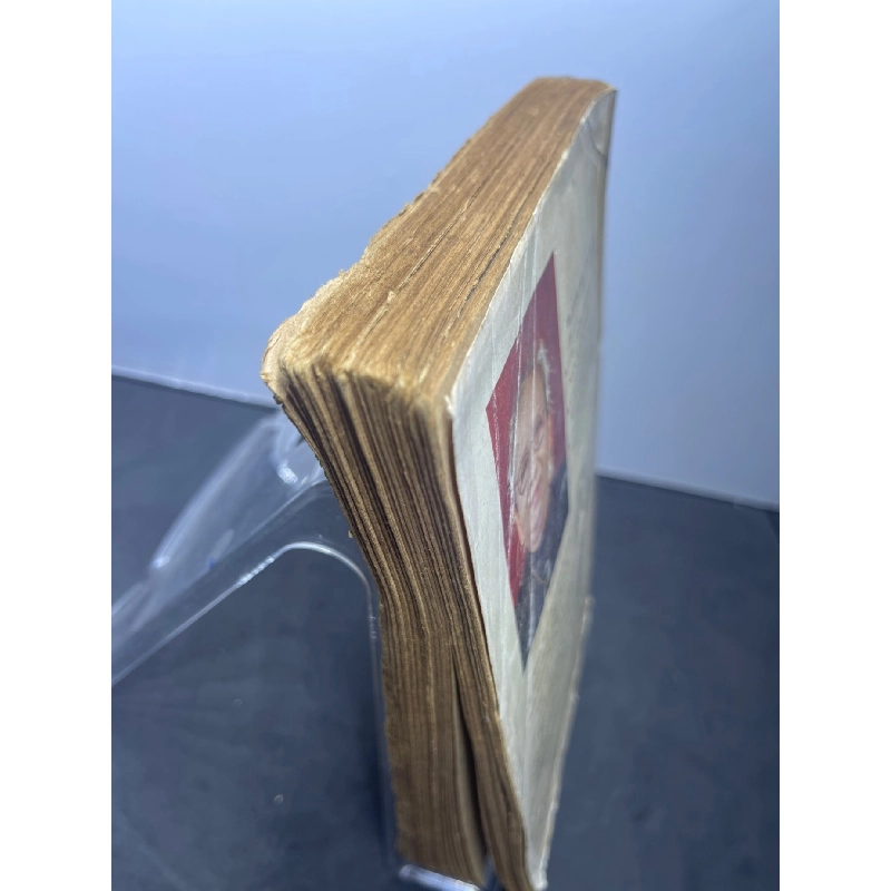 Các món ăn đặc sản miền Nam 1992 mới 60% ố vàng Lâm Hoa Phụng HPB2207 GIÁO TRÌNH, CHUYÊN MÔN 916499