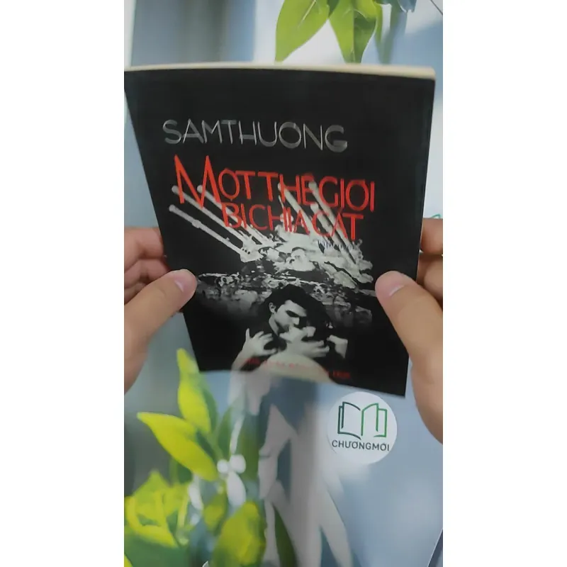 Một Thế Giới Bị Chia Cắt - Sâm Thương 798433