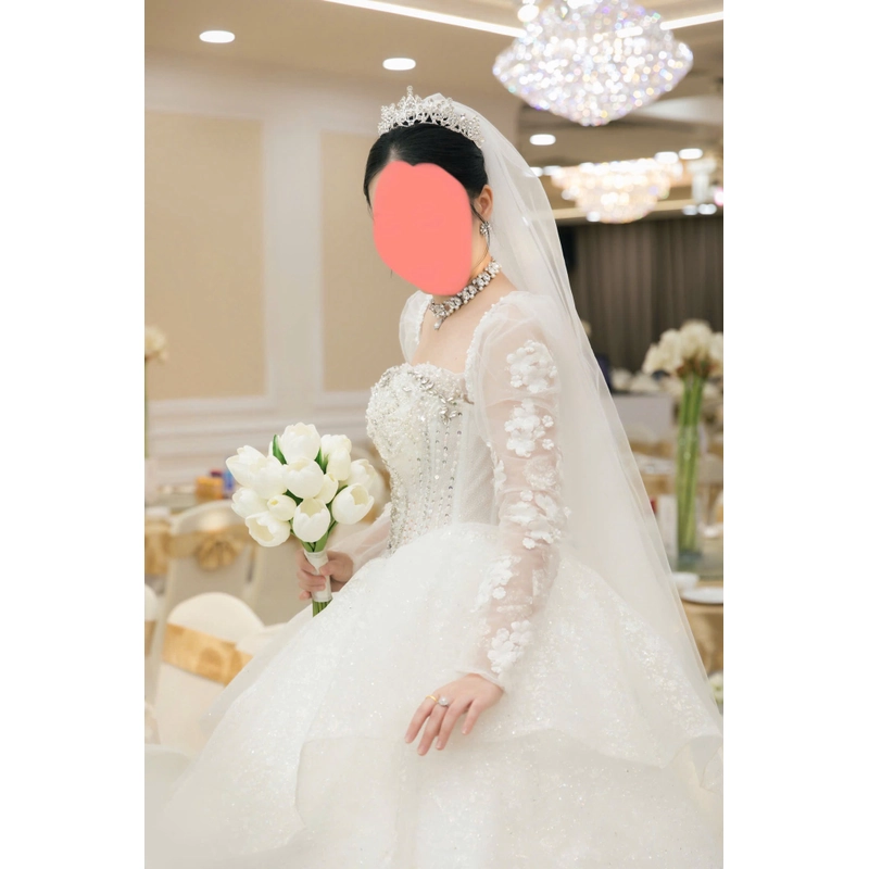 Váy cưới cúp ngực dài tay đính đá eo V corset 474112