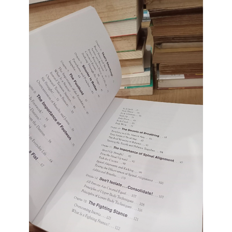 Martial mechanics - Phillip Starr 758687