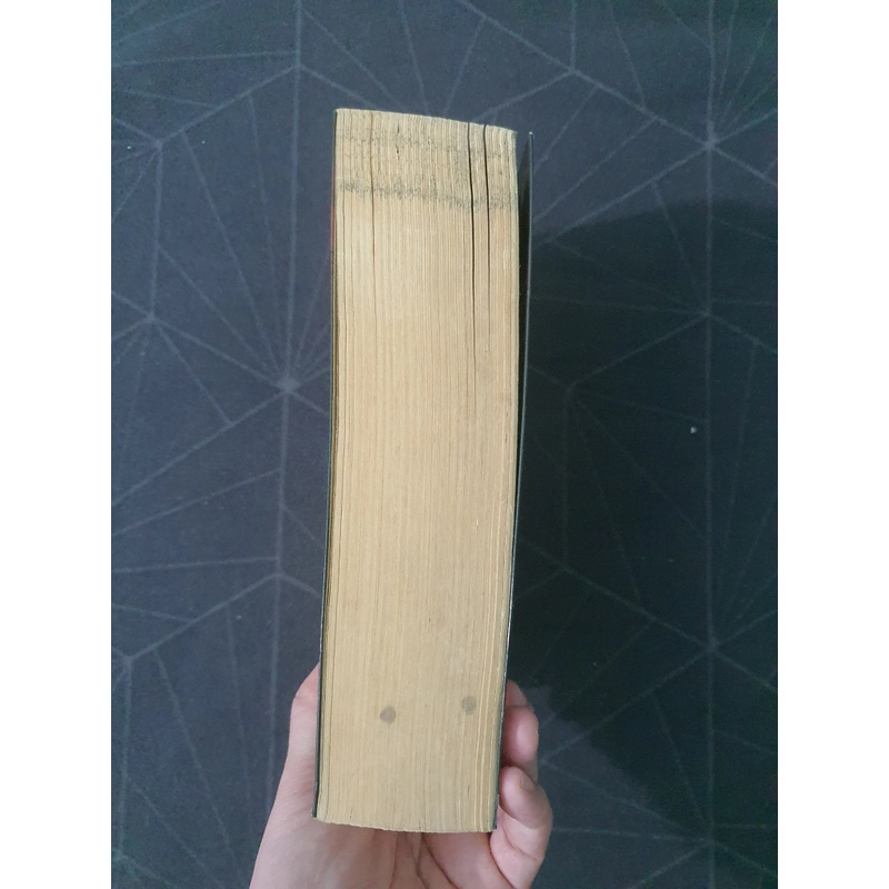 "Mê tông chi quốc : Chăm Pa ẩn sương" - Thiên Hạ Bá Xướng 496657